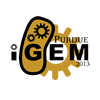 iGEM logo